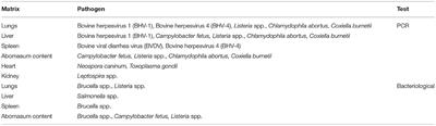 First Report on Abortion Caused by Salmonella enterica subsp. enterica Serovar Enteritidis in Water Buffalo (Bubalus bubalis)